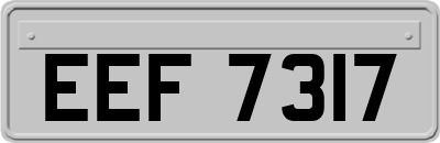 EEF7317