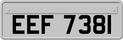EEF7381