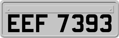 EEF7393
