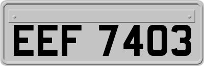 EEF7403