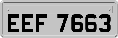 EEF7663