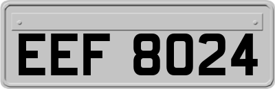 EEF8024