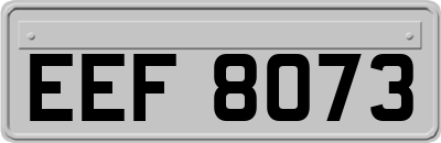 EEF8073