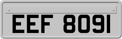 EEF8091