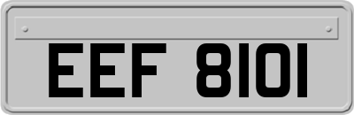 EEF8101