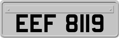 EEF8119