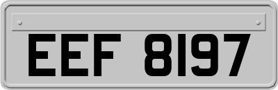 EEF8197
