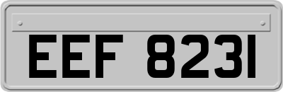 EEF8231