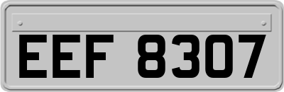 EEF8307