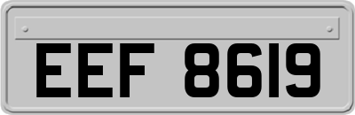 EEF8619