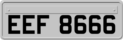 EEF8666