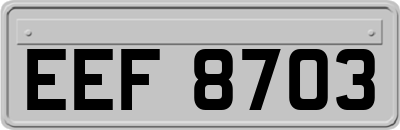 EEF8703