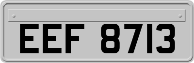 EEF8713