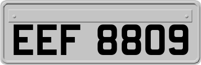 EEF8809