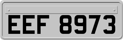 EEF8973