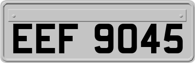 EEF9045
