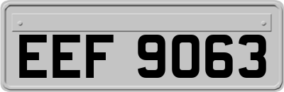 EEF9063