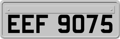 EEF9075