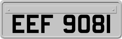 EEF9081