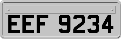 EEF9234