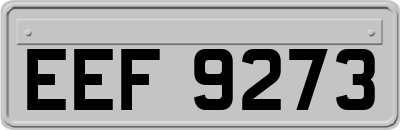 EEF9273
