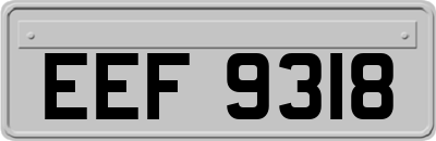 EEF9318