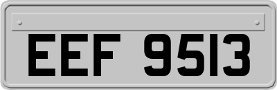 EEF9513