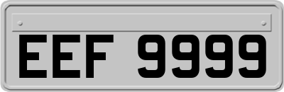 EEF9999