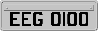 EEG0100