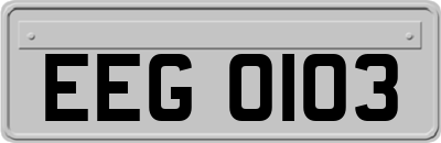 EEG0103