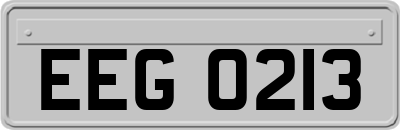 EEG0213
