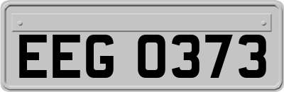 EEG0373