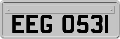 EEG0531