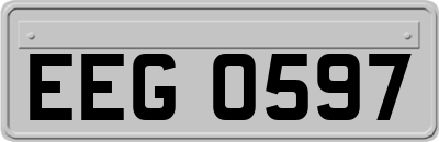 EEG0597