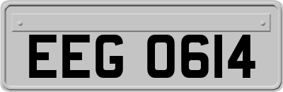EEG0614