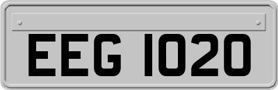 EEG1020