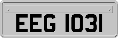 EEG1031