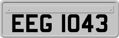 EEG1043