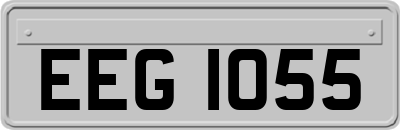 EEG1055