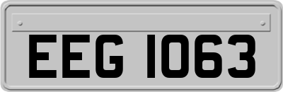 EEG1063