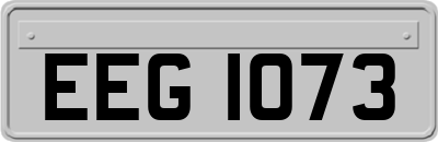 EEG1073