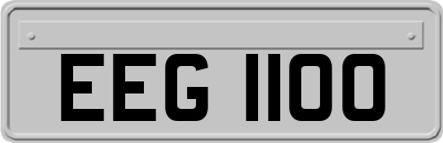 EEG1100