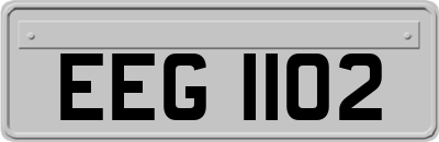 EEG1102