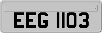 EEG1103