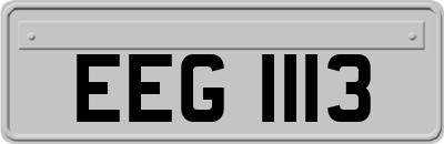 EEG1113