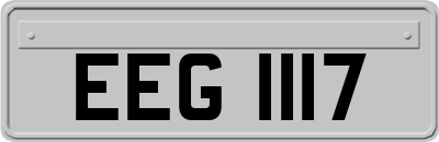 EEG1117