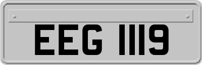 EEG1119