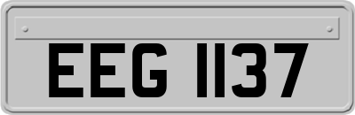 EEG1137