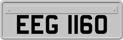 EEG1160