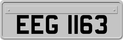 EEG1163